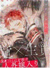 《操场西侧的风》青春校园小说封面